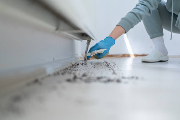 Best Cockroach Control Services  in Crane, TX